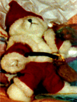 Unidentified Bear Dressed as Santa Claus